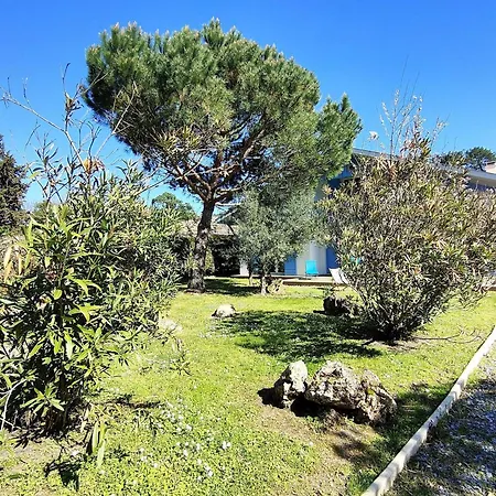Villa Rénovée Avec Jardin à Petit-piquey - Proche Bassin Et Océan, 3 Chambres, 2 Terrasses, Wi-fi - Fr-1-736-4