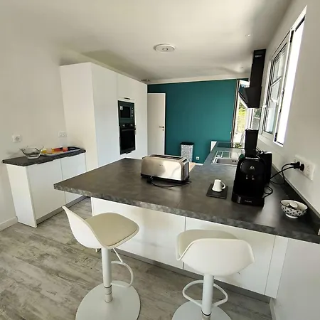 Renovee Avec Jardin A Petit-piquey - Proche Bassin Et Ocean, 3 Chambres, 2 Terrasses, Wi-fi - Fr-1-736-4 Lège-Cap-Ferret