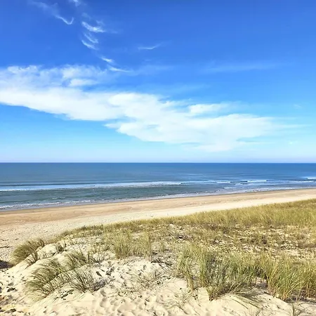 Vila Renovee Avec Jardin A Petit-piquey - Proche Bassin Et Ocean, 3 Chambres, 2 Terrasses, Wi-fi - Fr-1-736-4