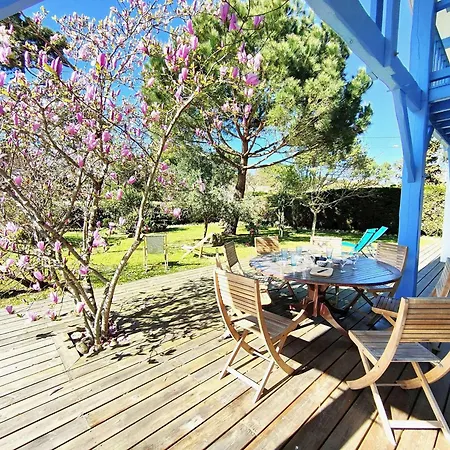 Renovee Avec Jardin A Petit-piquey - Proche Bassin Et Ocean, 3 Chambres, 2 Terrasses, Wi-fi - Fr-1-736-4 Villa *